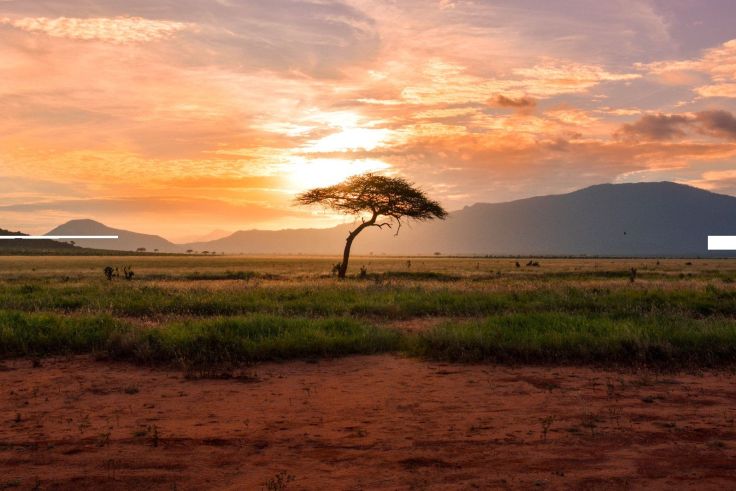 Pour le Kenya, par exemple, il est recommandé d’y voyager entre mi-décembre et février, car il fait alors agréablement chaud et il ne pleut que très peu.</span><span>&nbsp;</span><span>©&nbsp;Damian Patkowski/unsplash